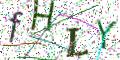图形验证