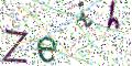 图形验证