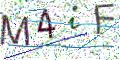 图形验证