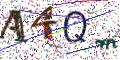 图形验证
