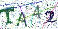 图形验证