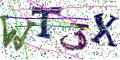 图形验证