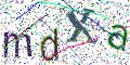 图形验证