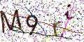 图形验证