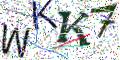 图形验证