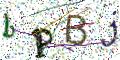 图形验证