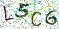 图形验证