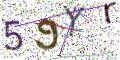 图形验证
