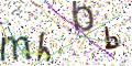 图形验证