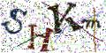 图形验证
