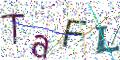 图形验证