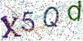 图形验证