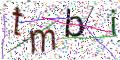 图形验证