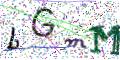 图形验证