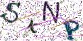 图形验证