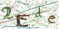 图形验证