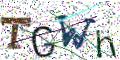 图形验证