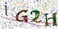 图形验证