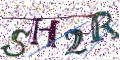 图形验证