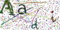图形验证