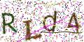 图形验证