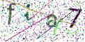 图形验证