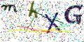 图形验证