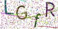 图形验证