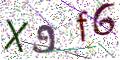图形验证