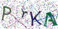 图形验证