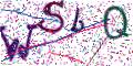 图形验证