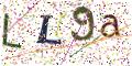图形验证