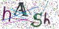 图形验证