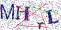 图形验证