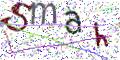 图形验证