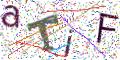 图形验证