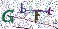 图形验证