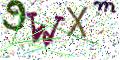 图形验证