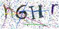 图形验证