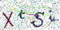 图形验证