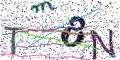图形验证