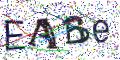 图形验证