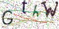 图形验证