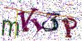 图形验证