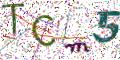 图形验证