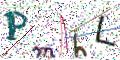图形验证