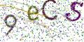 图形验证