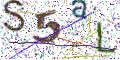 图形验证