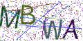 图形验证