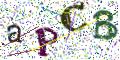 图形验证